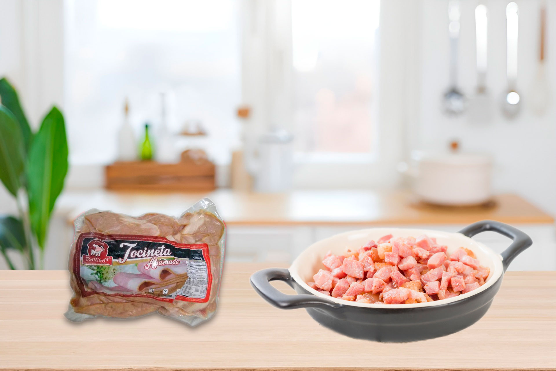 TOCINETA AHUMADA DANISAN